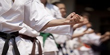 martial arts retreat and seminars