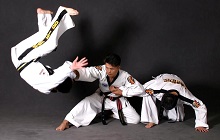 korean combat styles