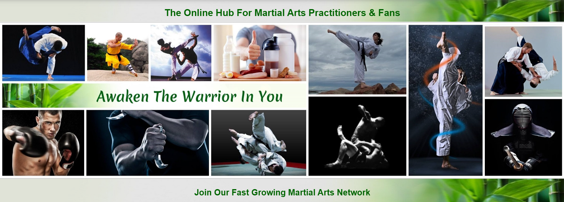 martial arts, combat sports online social network community