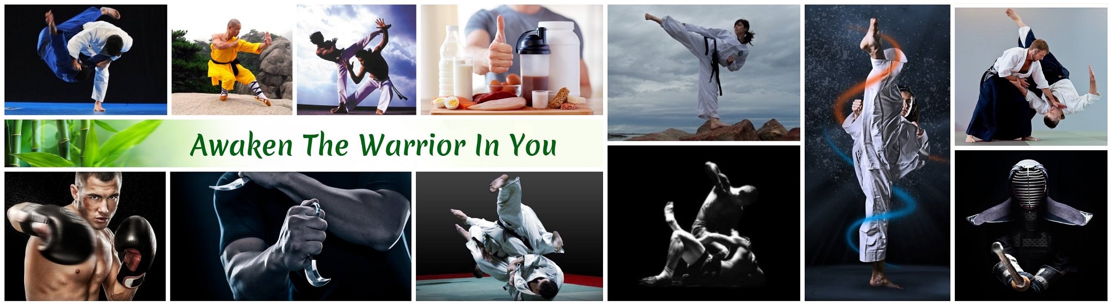 martial arts, combat sports, and yoga social network community