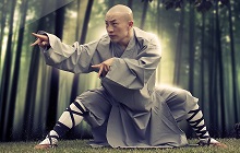 katas, forms, & martial arts moves