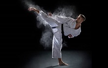 fighting styles - north and south american martial arts