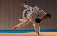 joint locks and takedowns 